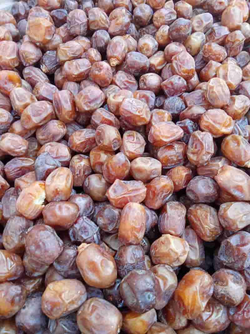 IMG-20251019-WA0029 (1)