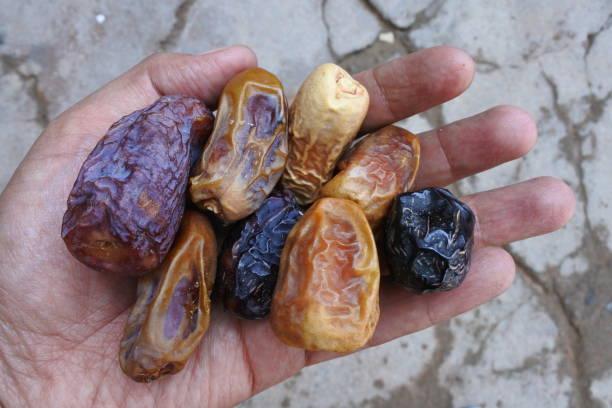 fresh dates close up in hand